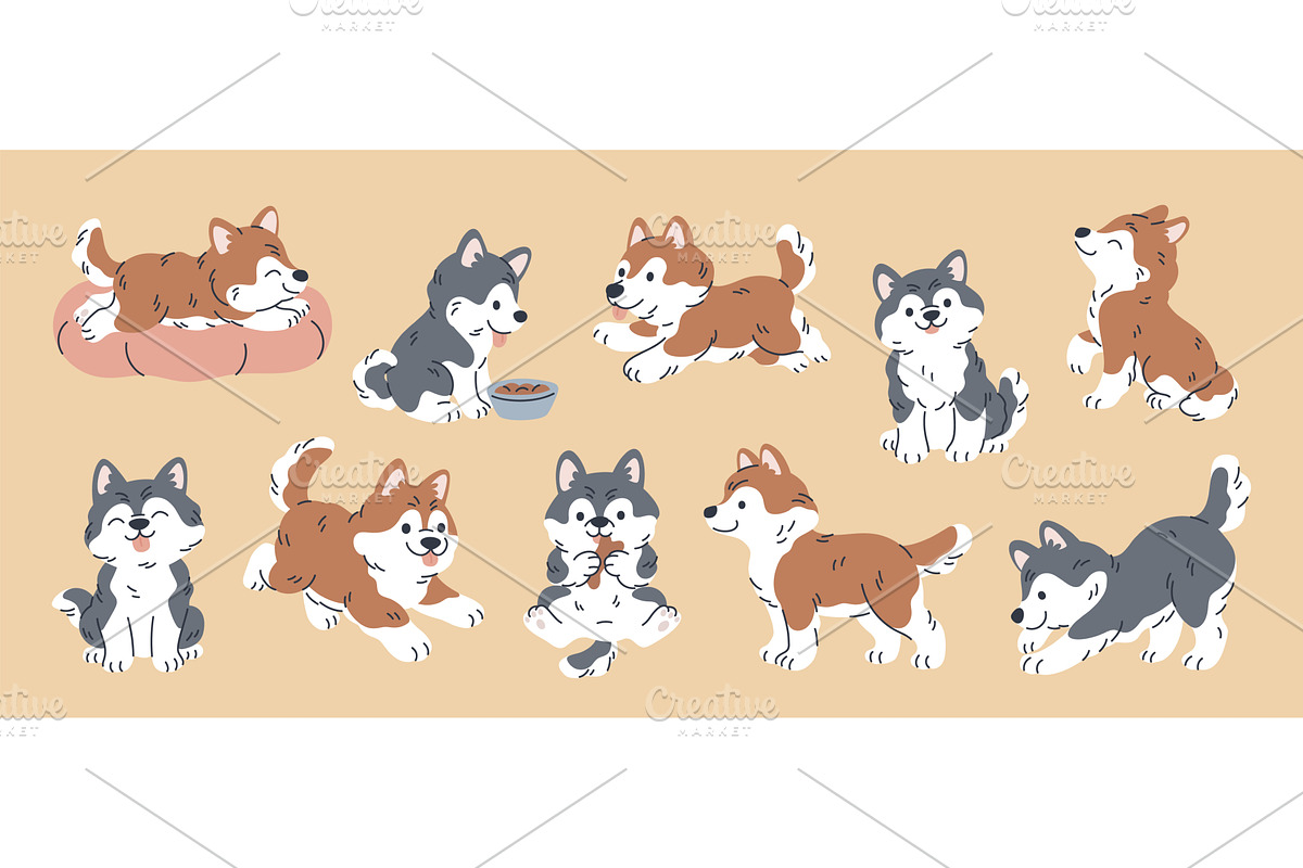 Cartoon husky characters. Different, an Animal Illustration by YummyBuum