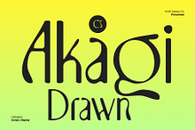 CS Akagi Drawn