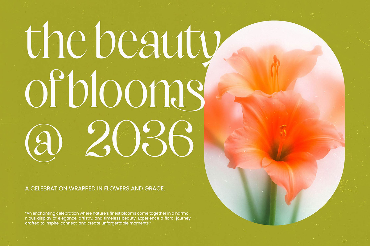 Lerukay Modern Luxury Serif, a Serif Font by timelesstype.co (Photo 3 of 10)