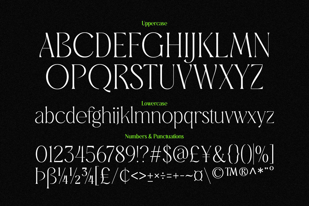 Moirva - Classy Serif, a Serif Font by Novitype (Photo 11 of 13)