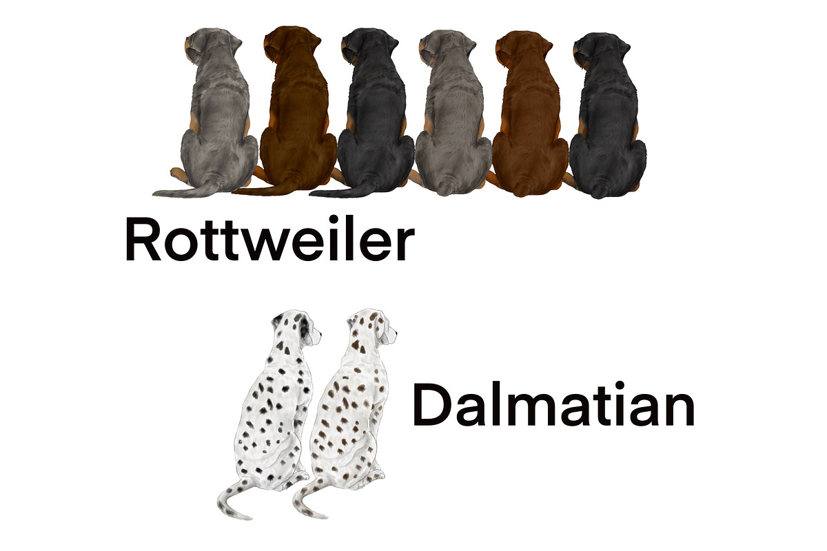 Watercolor Dog Clipart. Dog Breeds, an Animal Illustration by ColorfulPT (Photo 7 of 8)