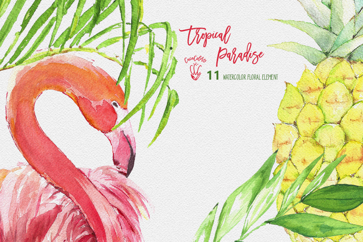 Tropical Clipart -Tropical Paradise, an Illustration by Cacacolors Clipart (Photo 2 of 3)
