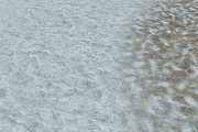 AUTUMN AND WINTER TEXTURE PACK, a Textures & Material 3D Model by Beatheart Creative Studio (Thumbnail 36 of 58)