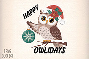 Owlidays Funny Christmas Sublimation, an Illustration by Daily.Designs (Thumbnail 1 of 5)
