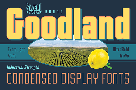 Goodland Condensed Display fonts