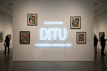 Ditu – Elegant Sans Serif Font for L