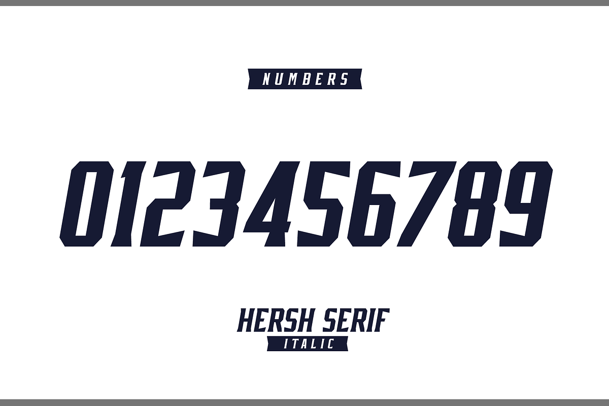 HERSH SERIF FONT FAMILY, a Serif Font by Alphabet Agency (Photo 7 of 14)