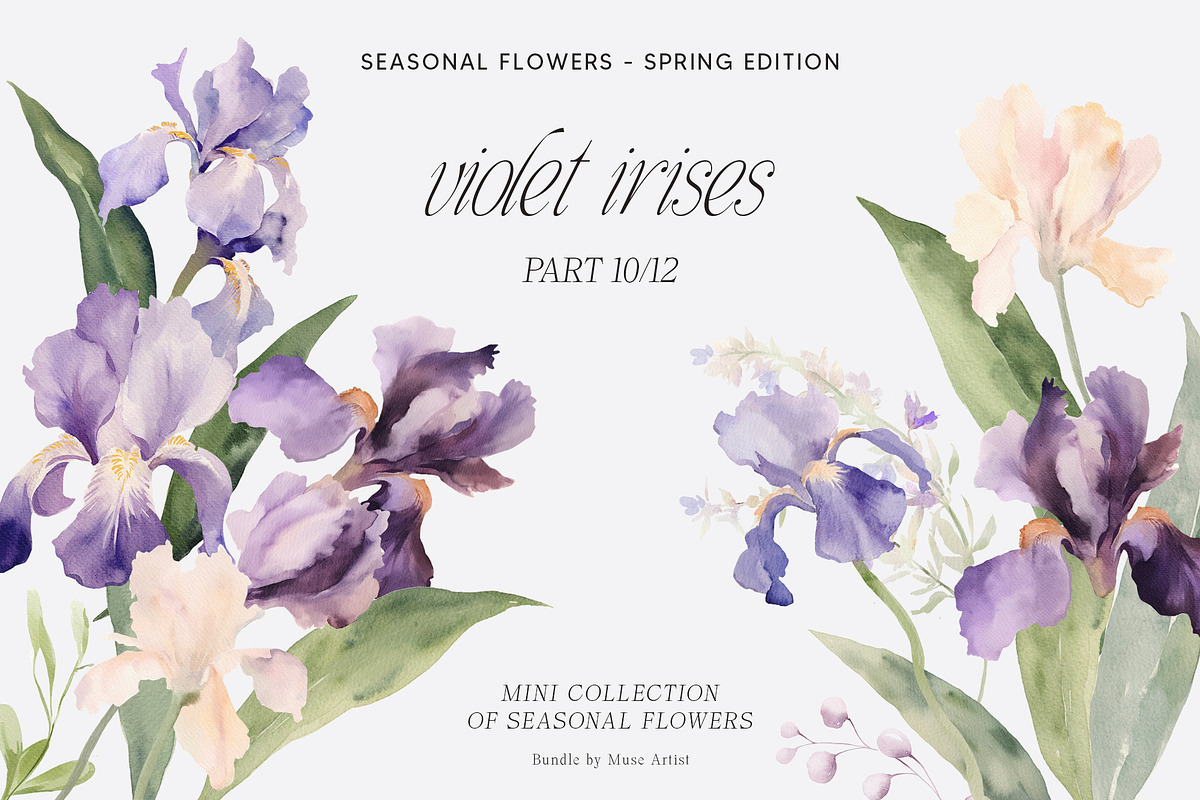 SPRING BOX Watercolor Bundle 400+, a Decorative Illustration by Muse Artist (Photo 76 of 99)