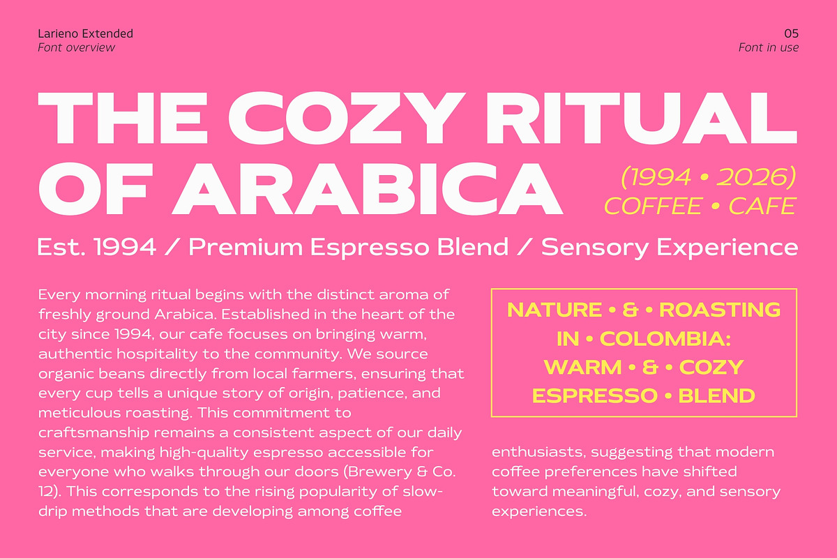 Larieno Extended, a Sans Serif Font by Zafara Studios (Photo 5 of 12)