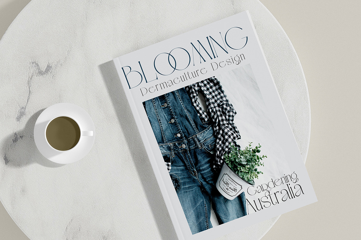 Avole | Serif Typeface, a Serif Font by Alcode (Photo 11 of 15)