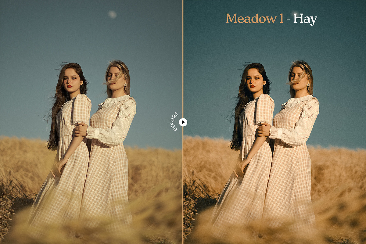 Meadow Lightroom Presets, a Preset Add-On by Presetrain Co. (Photo 5 of 7)