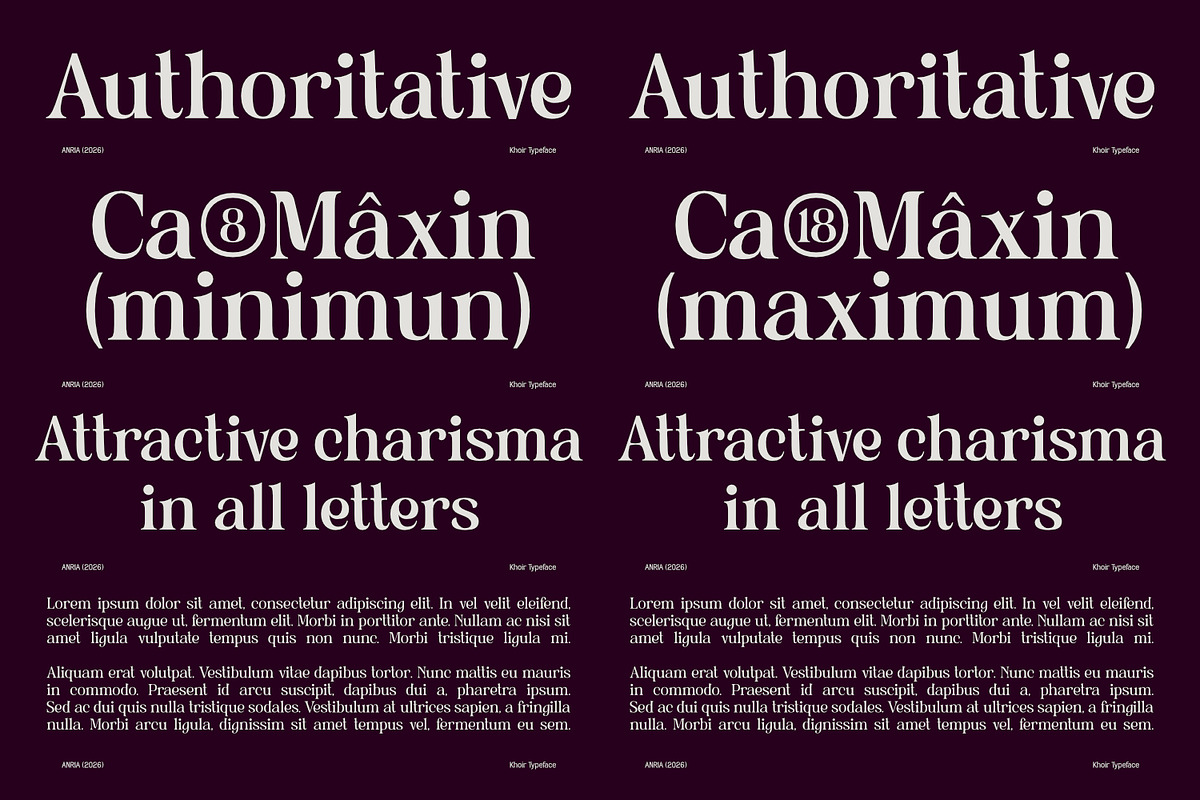 Anria Typeface, a Serif Font by Khoir (Photo 5 of 12)