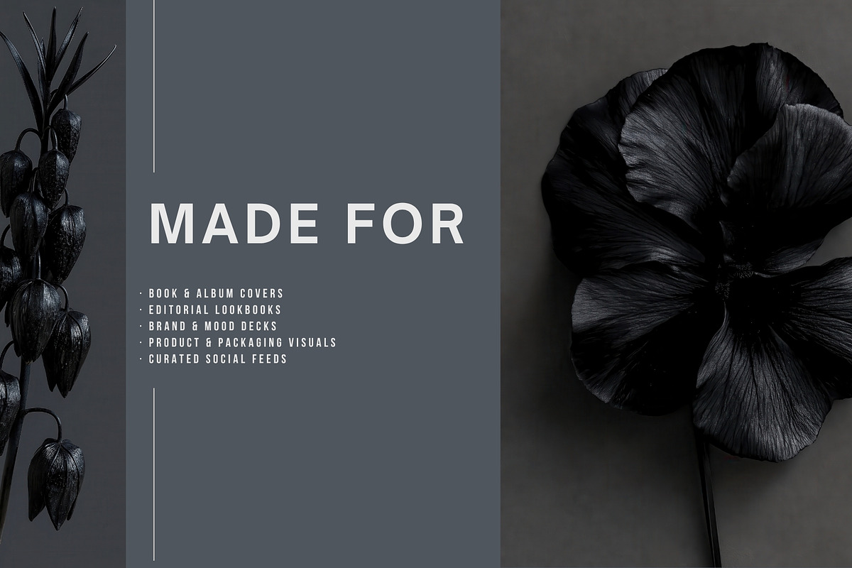 Dark Floral & Mineral Stock Photos, a Nature Photo by Tale.Haus (Photo 7 of 17)