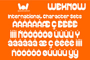 Playful Gravity font, a Sans Serif Font by weknow (Thumbnail 8 of 8)