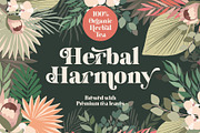 Wonder Magnolia Vintage Font, a Serif Font by supfonts (Thumbnail 3 of 10)