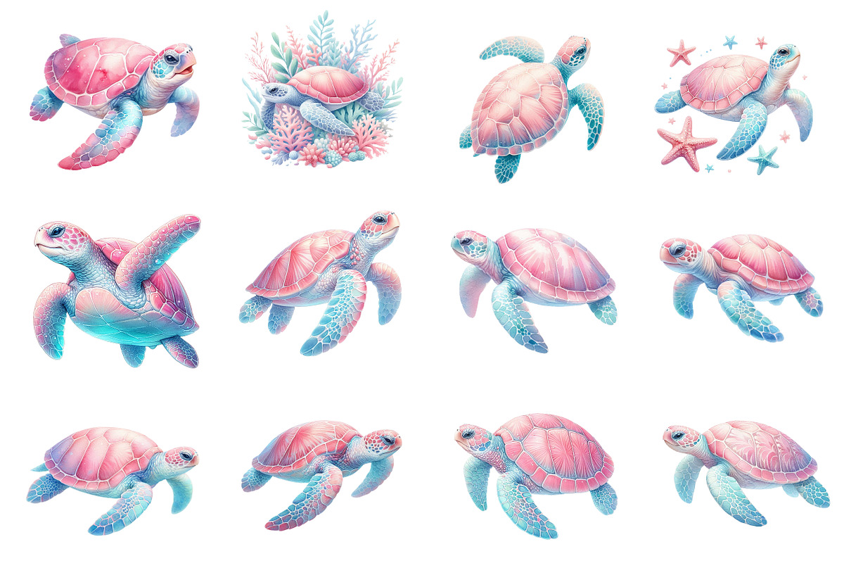 Coastal Sea Turtle Clipart, an Illustration by Dream Creation (Photo 3 of 6)
