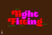 Plage Display, a Sans Serif Font by Hurufatfont (Thumbnail 2 of 14)