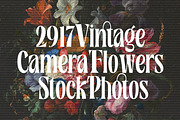 Rosamila Display, a Serif Font by Stripes Studio (Thumbnail 9 of 11)
