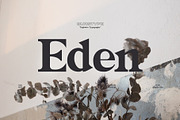 EDEN - MODERN DISPLAY SERIF FONT, a Serif Font by BURSTYPE (Thumbnail 1 of 8)