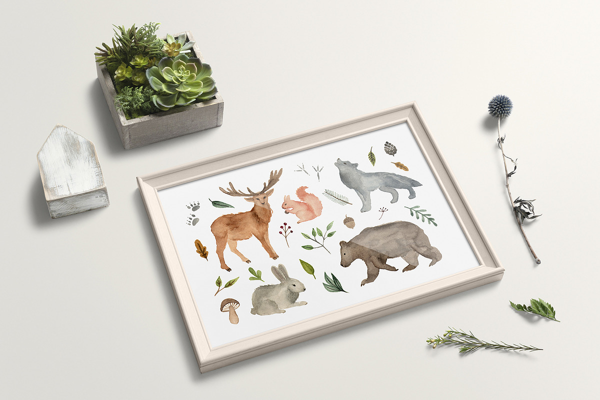 Woodland animals watercolor clipart, an Animal Illustration by alenaganzhela (Photo 8 of 11)