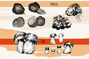 Mushrooms. Big set. 84 objects, a Decorative Illustration by Alena Kaz (Thumbnail 7 of 8)