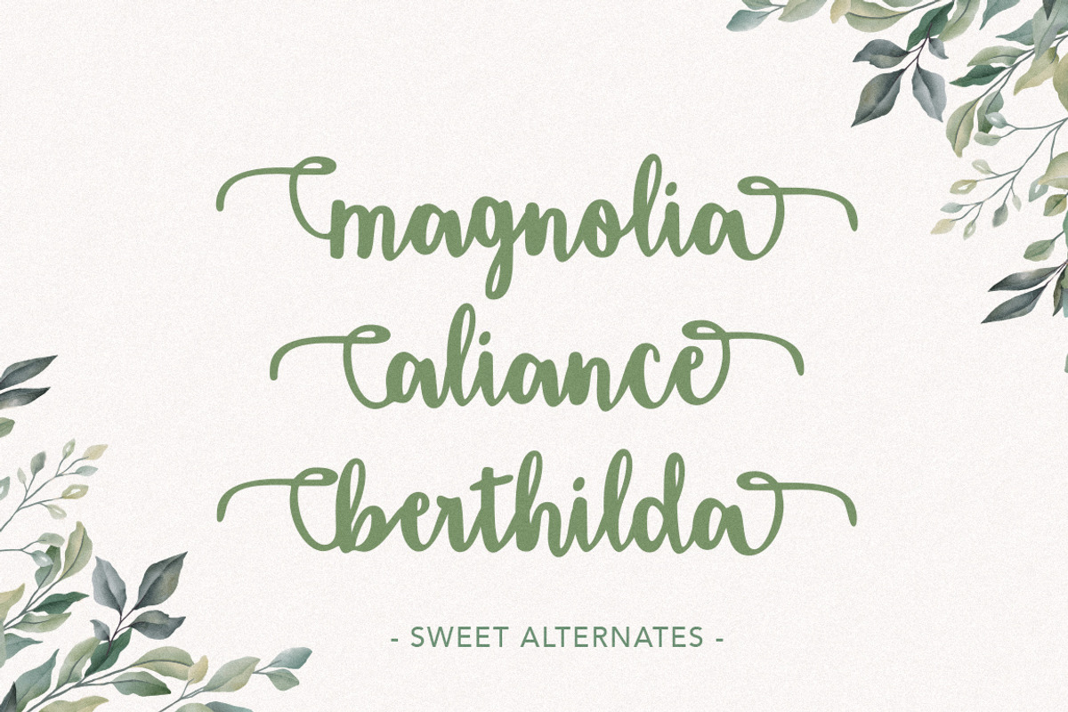 Amigueta Script preview 4