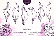 Vector set of linear flowers graphic, a Decorative Illustration by Color and Decor (Thumbnail 3 of 5)