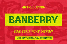Banberry - Display Font