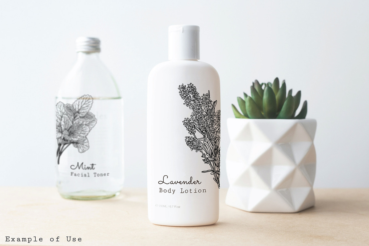 Fresh Herbs Line Drawings & Patterns, an Illustration by kittyShark Creative (Photo 2 of 9)