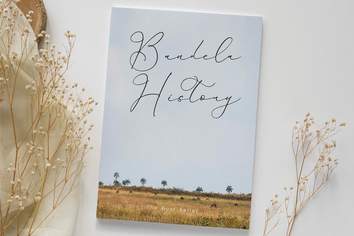 Hardyela Sandert Ballpoint Signature, a Script Font by Storytype Studio (Photo 3 of 15)