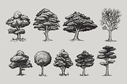 Mountain Forest Hand-drawn Elements, an Illustration by Artolabs (Thumbnail 4 of 10)