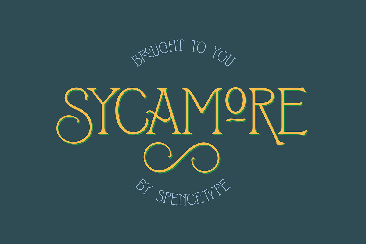 Sycamore — Display Font