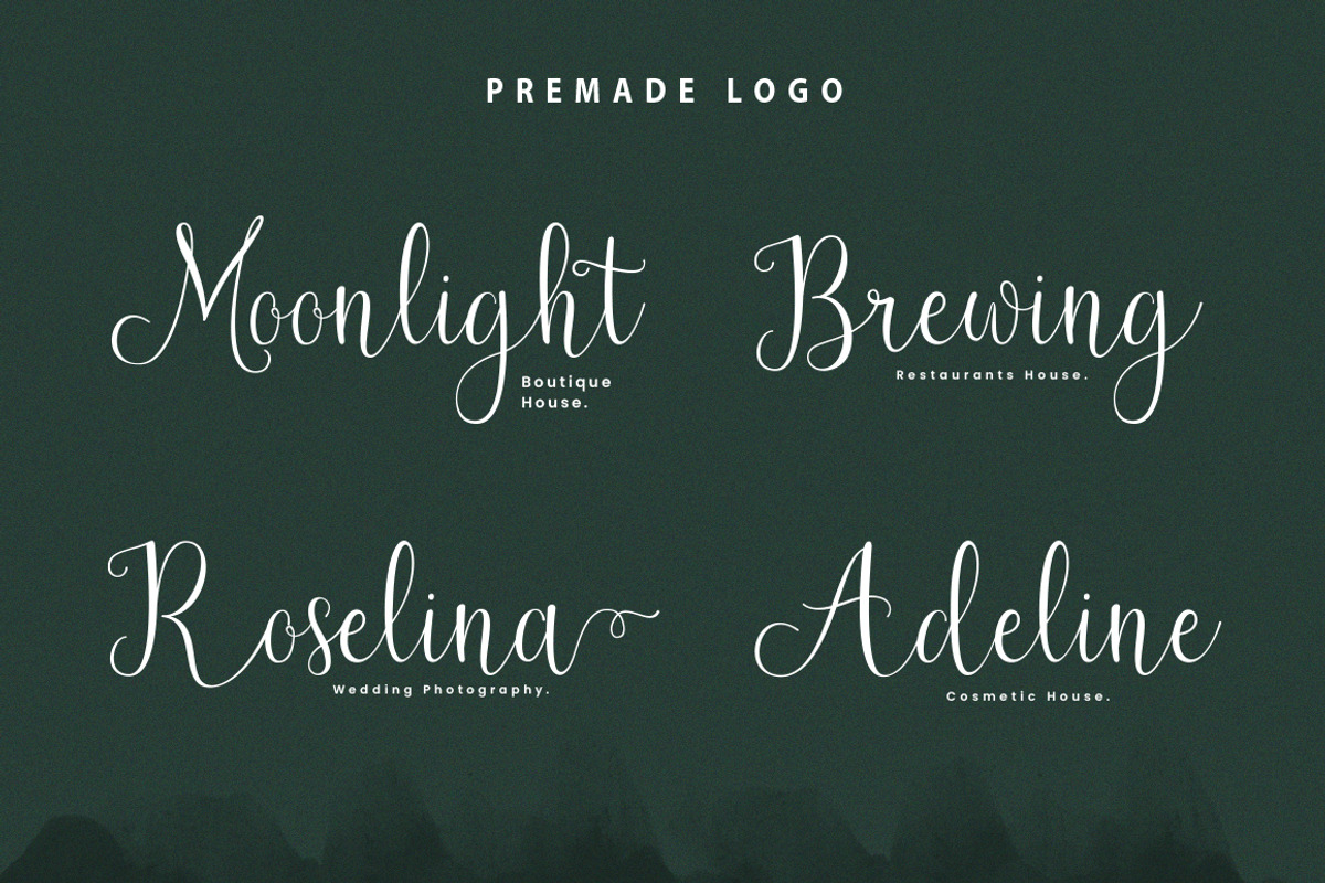 Newark Script, a Script Font by sizimon (Photo 3 of 7)