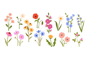 Wildflowers. Blooming garden spring, an Object Illustration by winwin.art