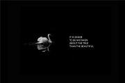 Graceful Font, a Sans Serif Font by denisgorelkin (Thumbnail 2 of 9)