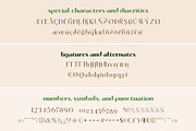 Belgato Elegant Vintage Font Family, a Serif Font by Molly Suber Thorpe (Thumbnail 12 of 13)