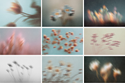 FLAYRA: 30 Blurry Abstract Florals, a Background Graphic by Veyla (Thumbnail 11 of 12)