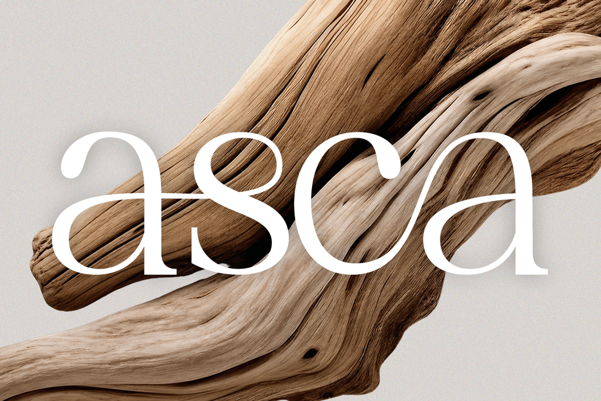 Vaurum Modern Elegant Serif Font, a Serif Font by Rasio Studio (Photo 3 of 9)
