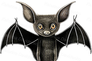 Stickers Set Of Cute Cartoon Bats