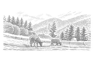 Cows Grazing In Mountains Drawing.