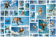 116 Flying animals, an Animal Photo by Handmadefont (Thumbnail 4 of 119)