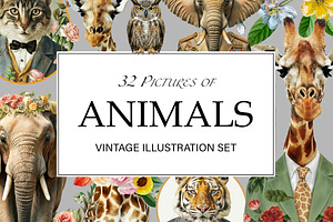 Vintage Animals Illustrations png