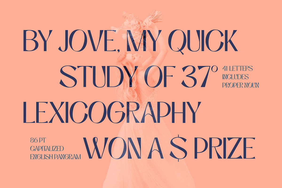 Niasec Lux Elegant Display Font, a Sans Serif Font by Casloop Studio (Photo 4 of 15)