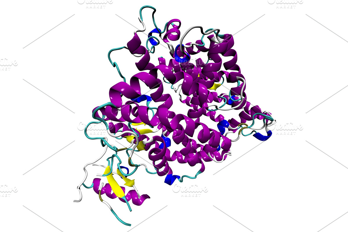 3D structure of the human ACE2, a Healthcare Illustration by Leonid Andronov