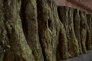 Textures - Tree Bark, a Textures & Material 3D Model by PurePolygons
