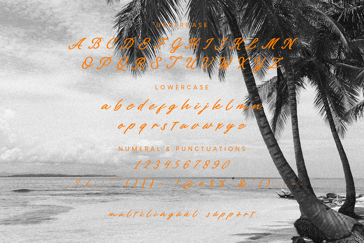 Paline Stylish Script Font, a Script Font by Hishand Studio (Photo 6 of 8)