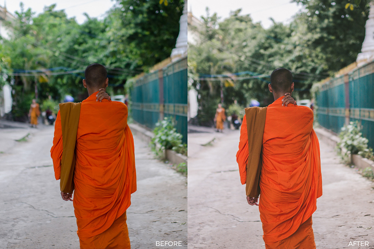 Fuji Inspired Lightroom Presets preview 2