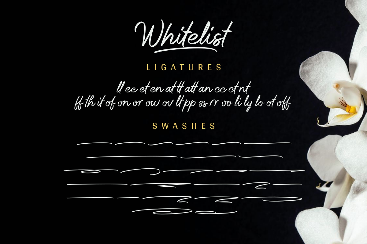 Whitelist - Marker Font, a Script Font by Sibelumpagi Studio (Photo 13 of 14)
