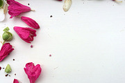 BUNDLES OF BLISS–Styled Stock Photos, a Product Mockup by Pepperbelle Tinkers (Thumbnail 6 of 9)