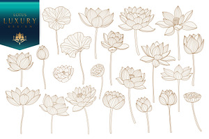 Lotus hand drawn vector set